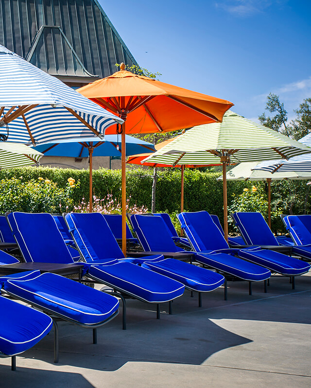 Lounge chairs poolside at Francis Coppola Winery.